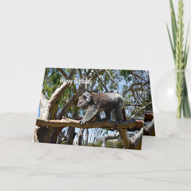Carte Koala Bear Tight Rope Walker, Anniversaire (Devant)