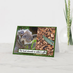 Carte Koala et Eucalyptus