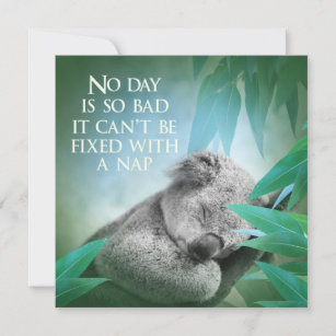Carte Koala Nap