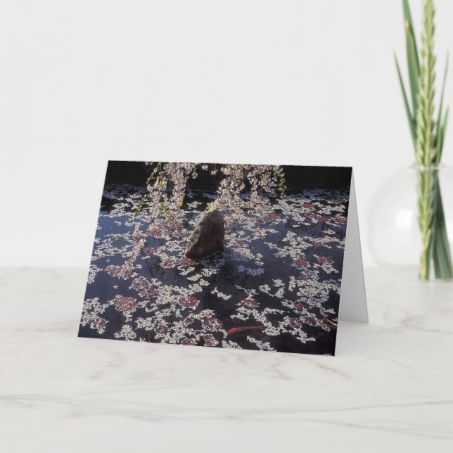 Carte Koi Pond Condolence Card (Devant)