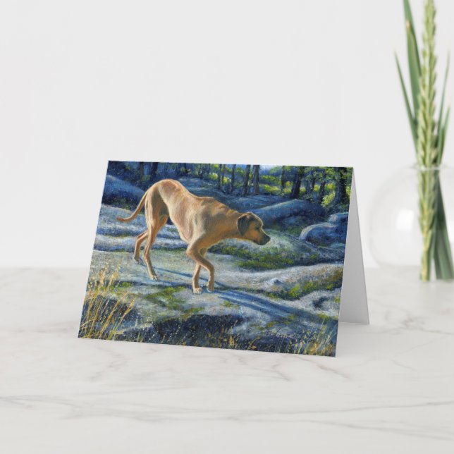 Carte "Kona sur la piste granitique" (Devant)