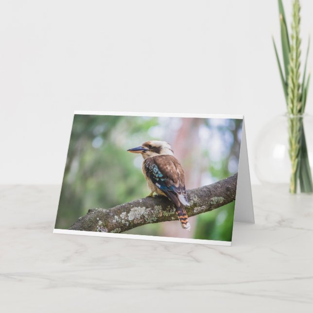 Carte Kookaburra sur branche (Devant)