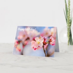 Carte La Beauté Brillante Des Fleurs De Sakura Rose