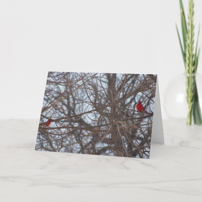 Carte La beauté créée par Dieu, Cardinaux (Devant)