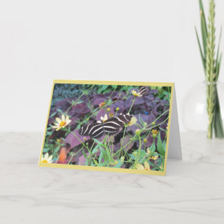 Carte La beauté de ressort