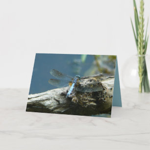 Carte La beauté reste