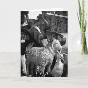 Carte La Campagne à Paris rue Daguerre Vaches ovine