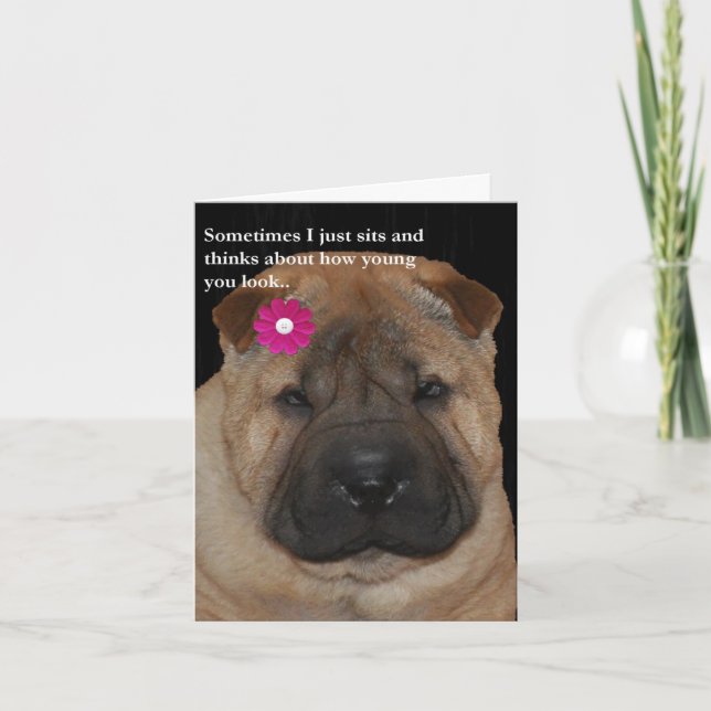 Carte La carte-Juste d'anniversaire de Shar Pei se (Devant)