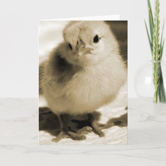 Carte La Chick de Boot (Devant)