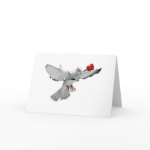 La colombe et s'est levée