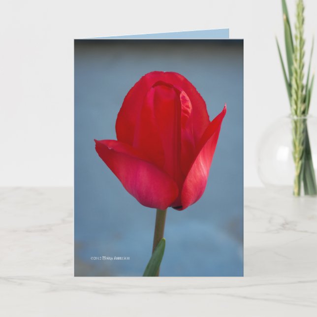 Carte La couleur rouge (Devant)