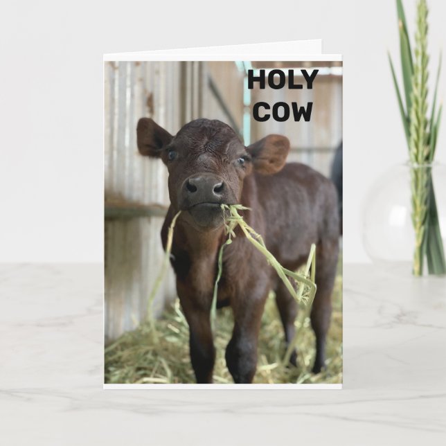 CARTE LA DERNIÈRE MOOS EST QUE VOUS ÊTES ***50*** (Devant)