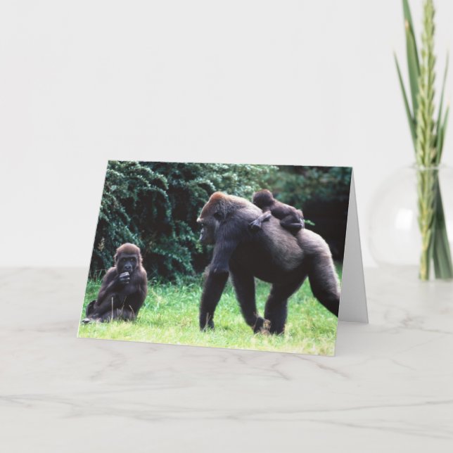 Carte LA FAMILLE APE DIT HEUREUX 30e ANNIVERSAIRE (Devant)