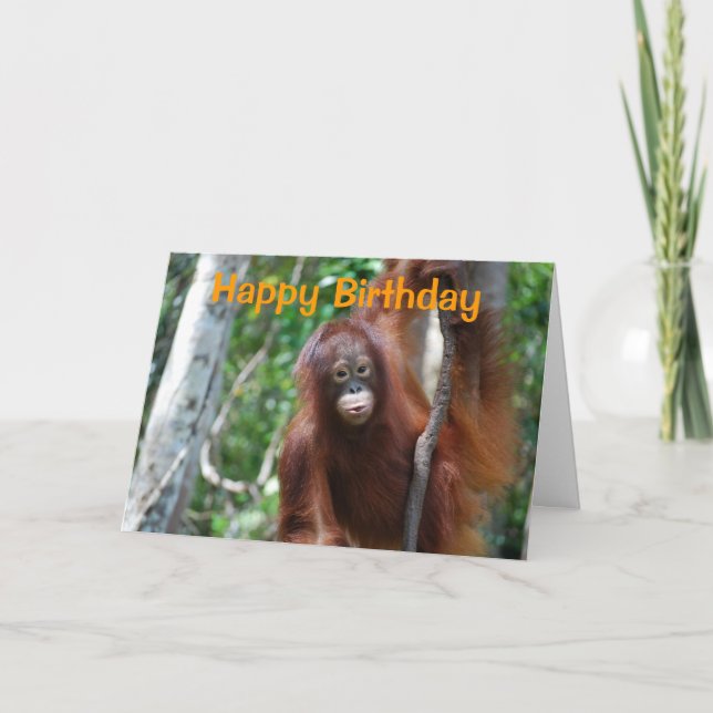 Carte La faune Joyeux anniversaire (Devant)