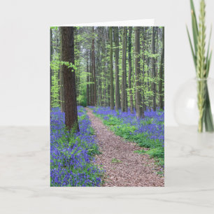 Carte La forêt de Halle   Halle, Belgique