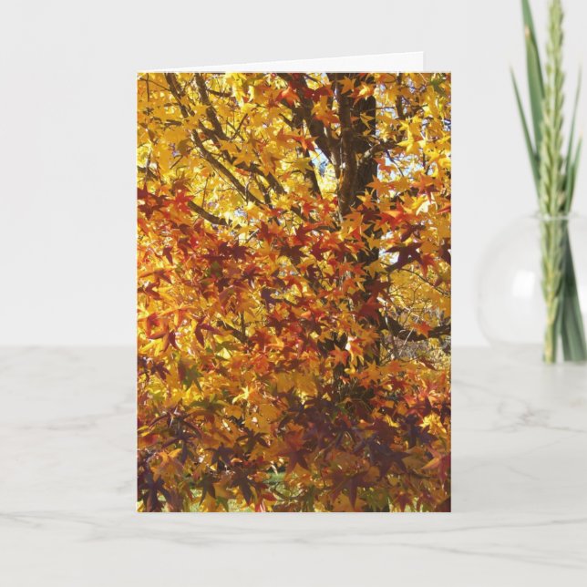 Carte La gloire d'automne de Dieu (Devant)