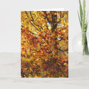 Carte La gloire d'automne de Dieu