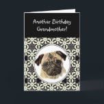 Carte La grand-mère ne semblent pas le chien triste de<br><div class="desc">Un autre humour de carte d'anniversaire pour la grand-mère qui aiment les carlins,  chien</div>