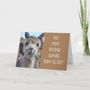 CARTE ***LA JOURNÉE DE VALENTINE NOUS CÉLÈBRE***