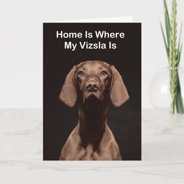 Carte La maison est où est mon Vizsla (Devant)