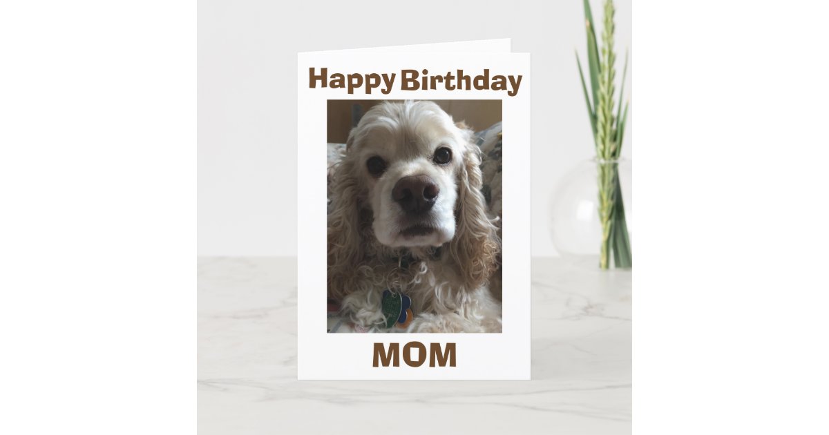 Carte La Maman De Joyeux Anniversaire Dit Ce Cocker Zazzle Fr