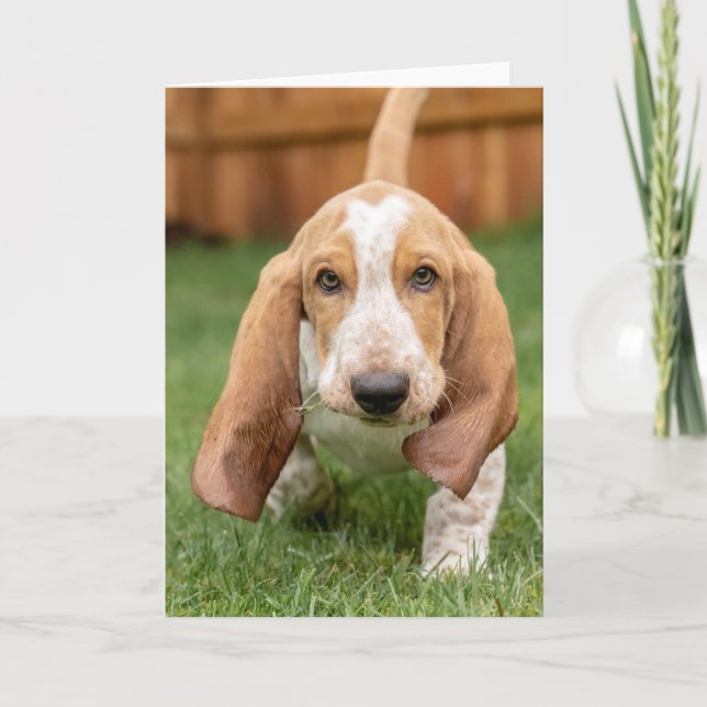 Carte La Marche des chiots de Basset (Devant)