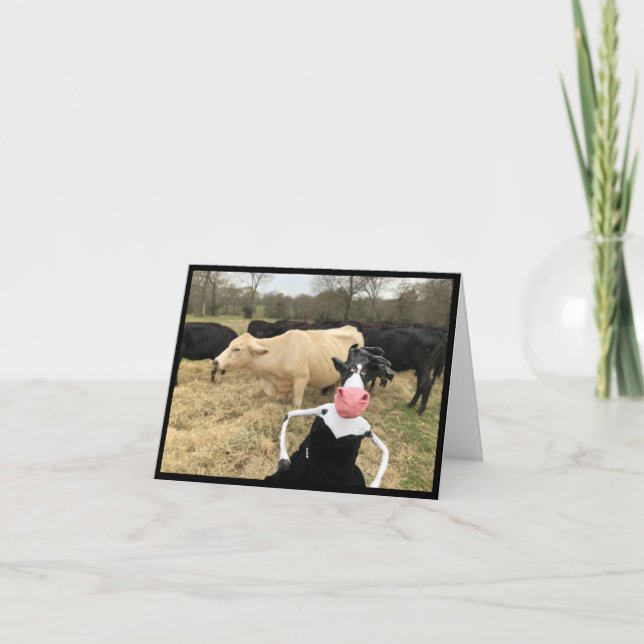 Carte La motilda dit "HAY !" (Devant)