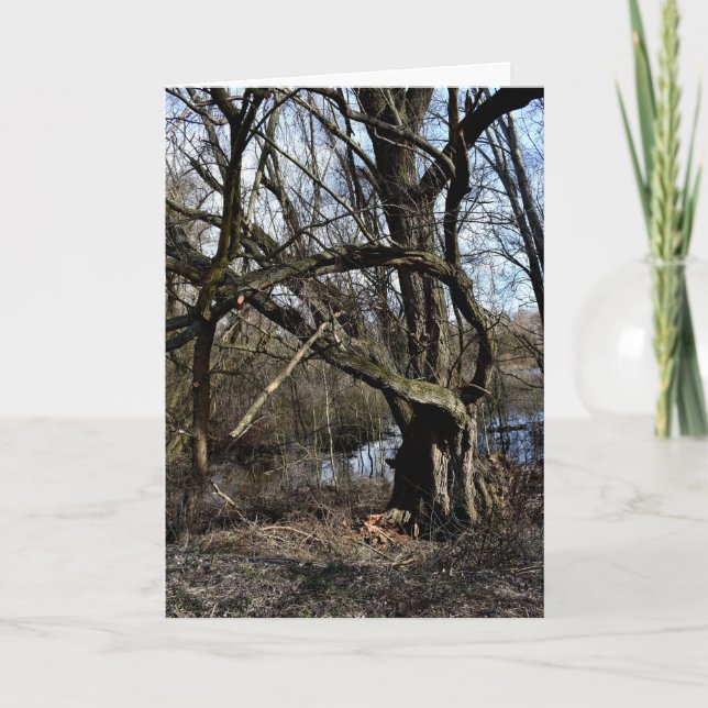 Carte La nature des Madowlands (Devant)