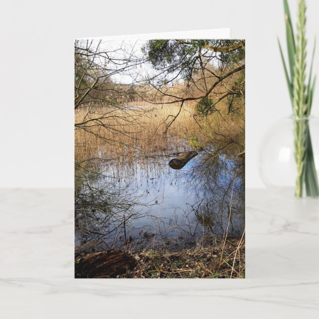 Carte La nature des Madowlands (Devant)