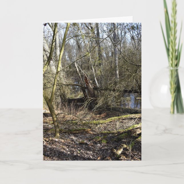 Carte La nature des Madowlands (Devant)