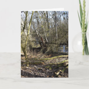 Carte La nature des Madowlands