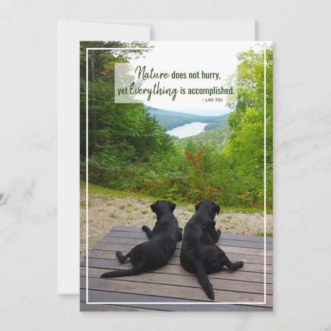 Carte La Nature Ne Se Dépêche Pas Citation De Vie Inspir (Devant)