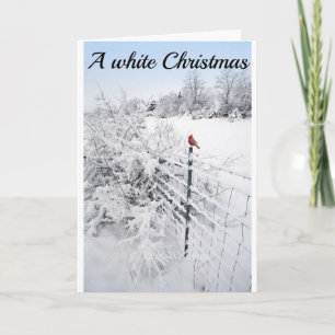 CARTE LA NEIGE EST SI BEAU-ESPOIR QUE VOTRE NOËL EST TRO