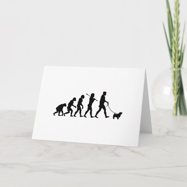 Carte La Norfolk Terrier (Devant)