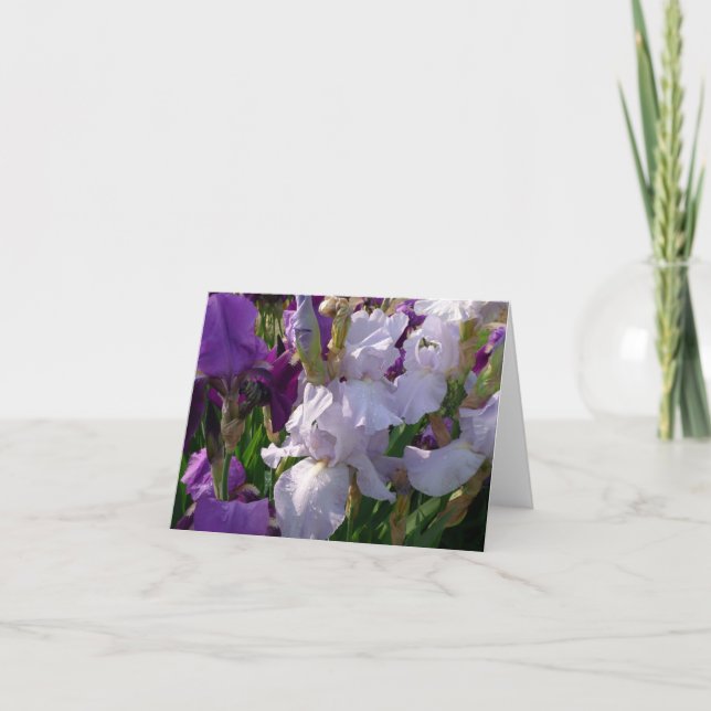 Carte La Nouvelle Journée de Garden (Devant)