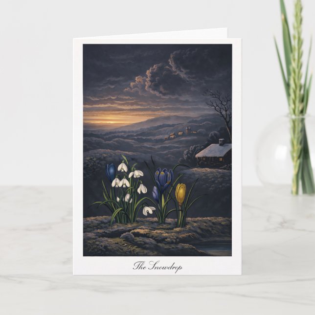Carte La perce-neige — Réinterprétation botanique modern (Devant)