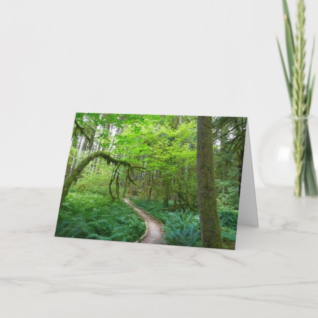 Carte La piste des Groves antiques au parc national olym (Devant)