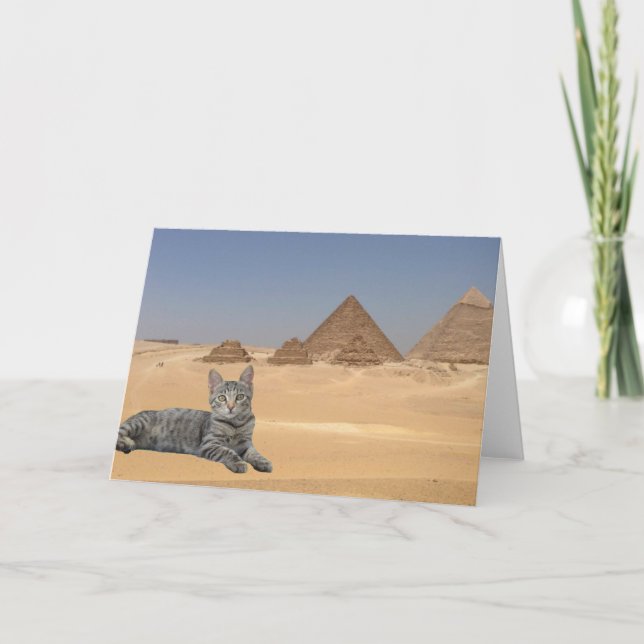 Carte La règle des chats ! (Devant)