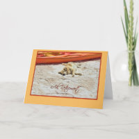 La retraite joyeuse de Kayak et Golden Retriever