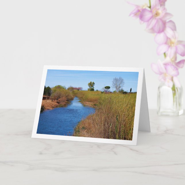 Carte La rivière Turia à Riba-roja de Túria, Espagne (Orchidée)