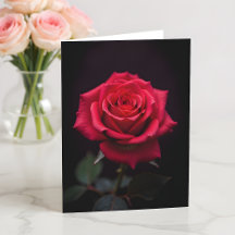 La Rose Rouge Serez-Vous Ma Saint-Valentin?