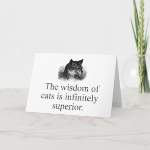Carte La Sagesse Des Chats