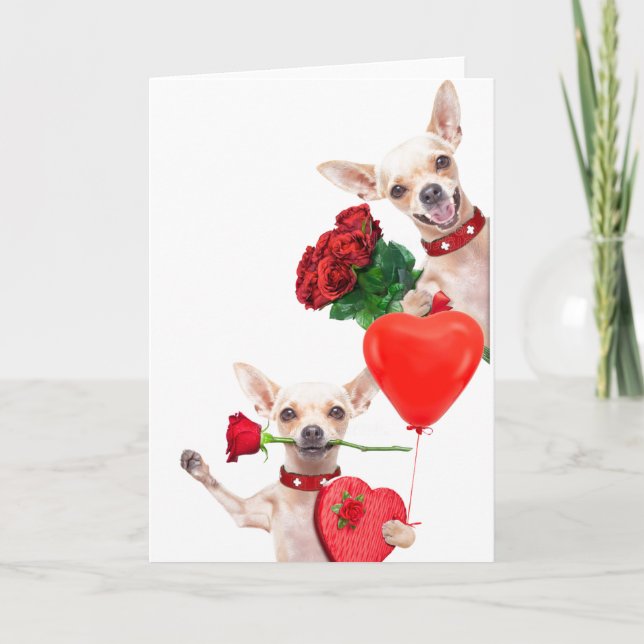 Carte La Saint-Valentin Chihuahuas mignons drôles avec d (Devant)
