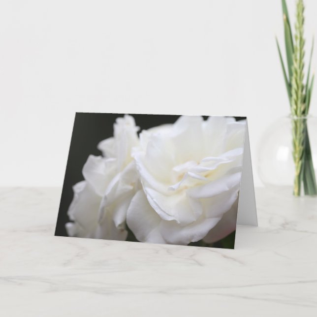 Carte La sympathie des roses d'Iceberg (Devant)