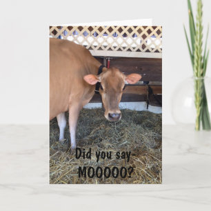 CARTE LA VACHE DEMANDE "AS-TU DIT MOO ?"/T'AIME AUSSI.