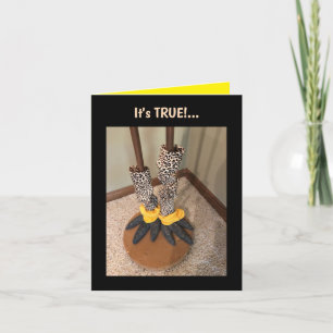 Carte La vie est trop courte...Carte de voeux pliée