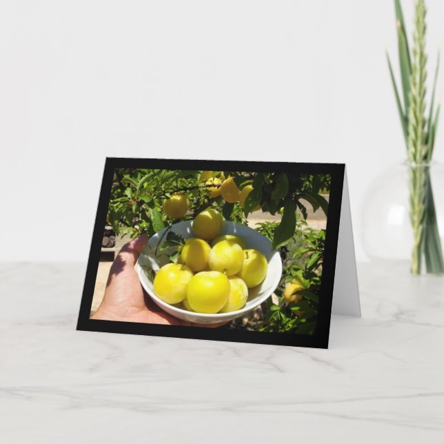 Carte La vie est un bol de prunes (Devant)