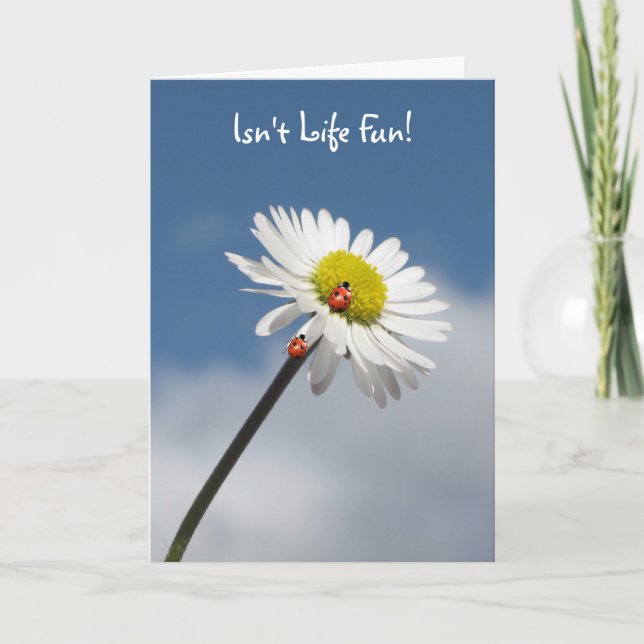 Carte La vie n'est pas amusante (Devant)