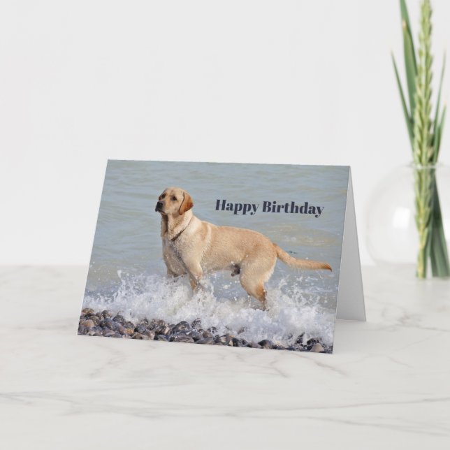 Carte Lab Yellow Dog Water Photo Anniversaire (Devant)