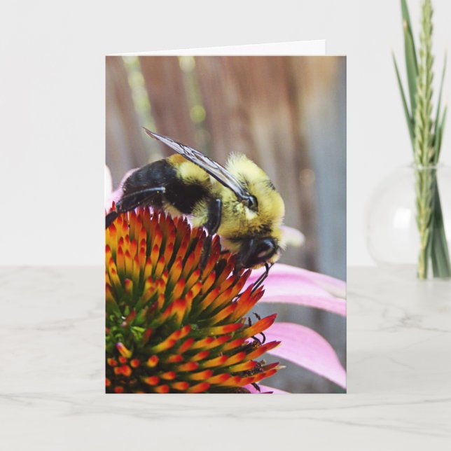 Carte L'abeille bourde (Devant)